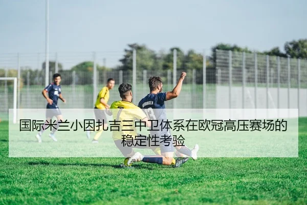 国际米兰小因扎吉三中卫体系在欧冠高压赛场的稳定性考验